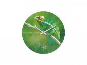 Часы настенные Nicole Time NT503 в Шипуново - shipunovo.mebel-nsk.ru | фото