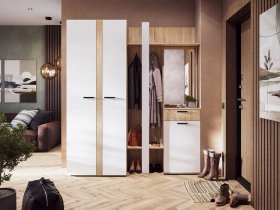 Модульная прихожая Санса (дуб сонома/белый) в Шипуново - shipunovo.mebel-nsk.ru | фото